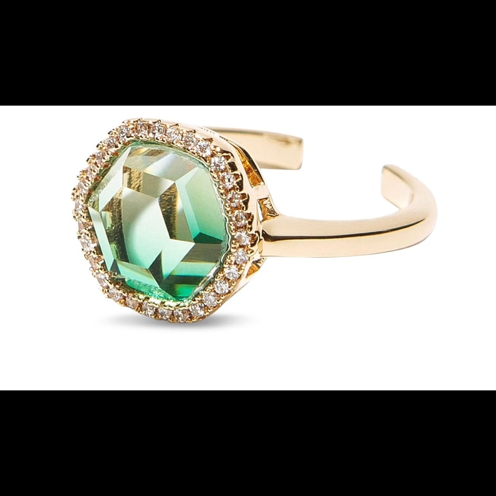 Joy Dravecky ring